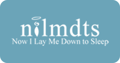 Nilmdts logo